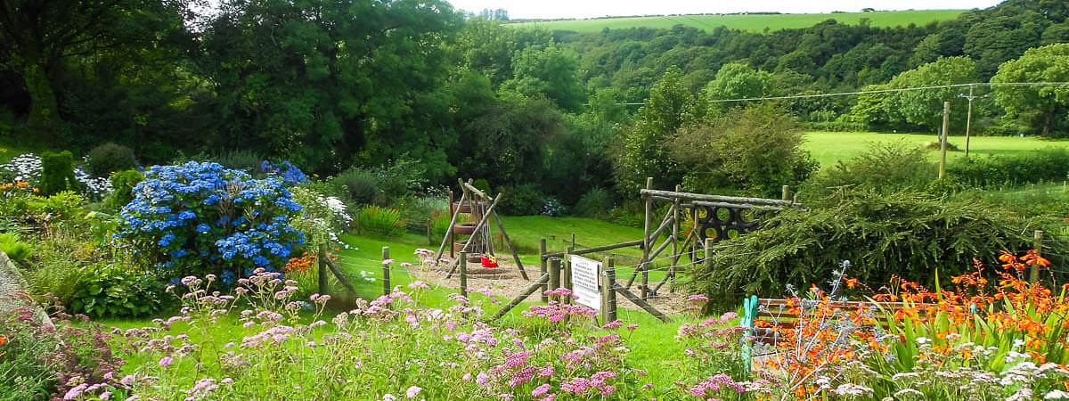 Wide view of caravans and tents pitched on the terraces at Gwaun Vale
