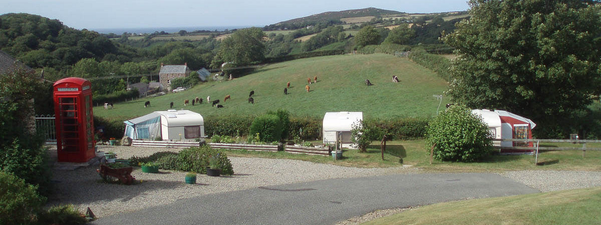 Evening light over the park at Gwaun Vale