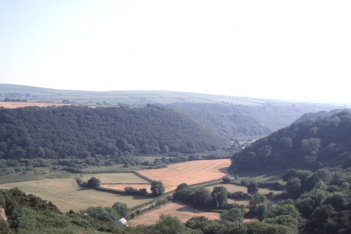 Looking down Cwm Gwaun, the wooded Gwaun Valley
